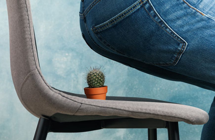 Mężczyzna odczuwający ból spowodowany żylakami odbytu siada na krzesło, na którym leży kaktus.
