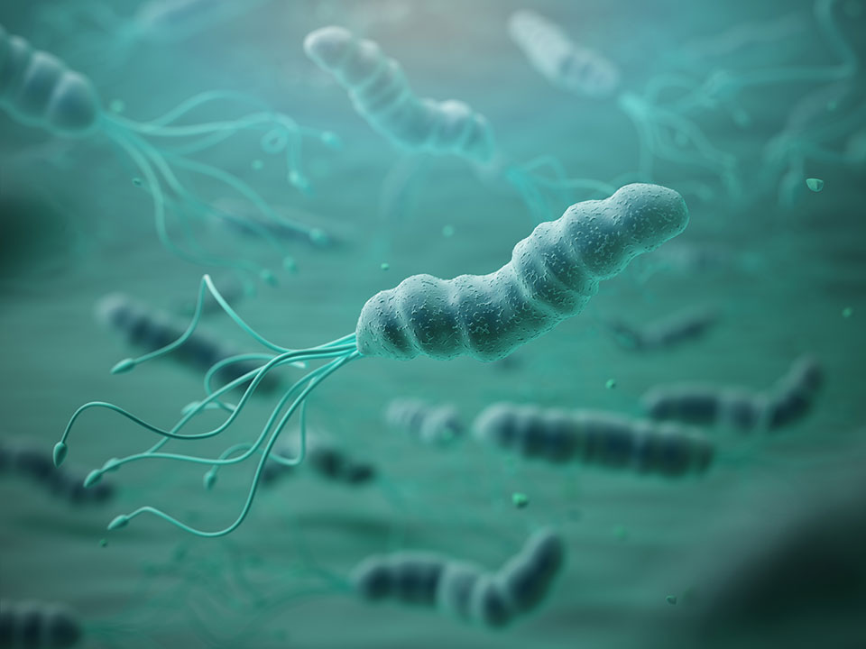 Jedną z przyczyn gorzkiego smaku może być zakażenie się bakterią helicobacter pylori